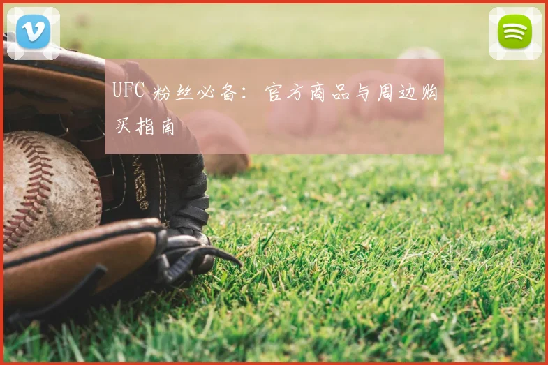 UFC 粉丝必备:官方商品与周边购买指南